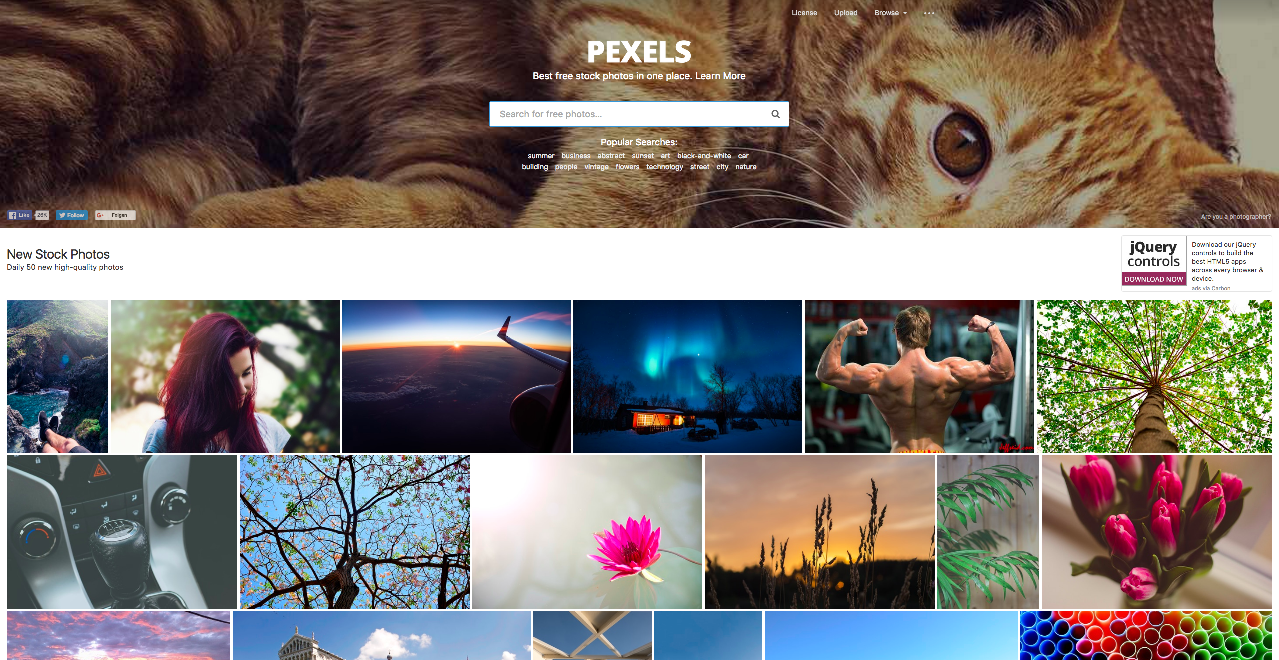 Kostenlose Bilder auf Pexels